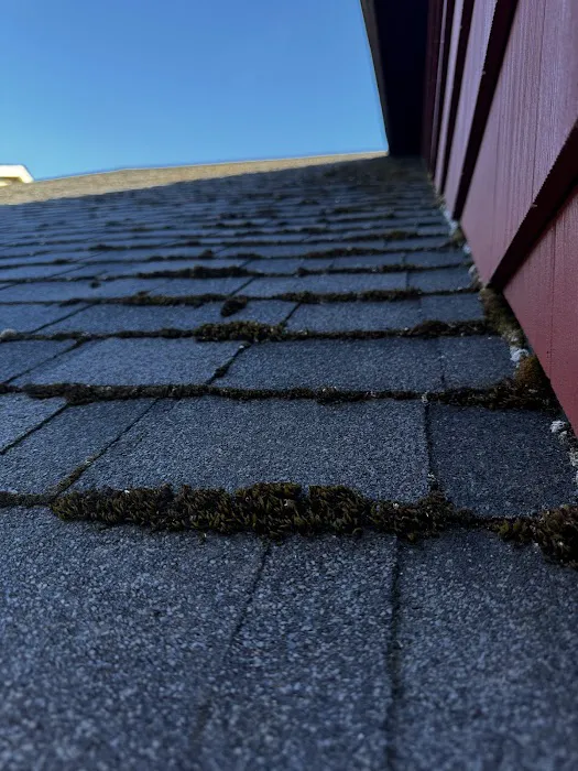 PDX Restoration Services Picture 3