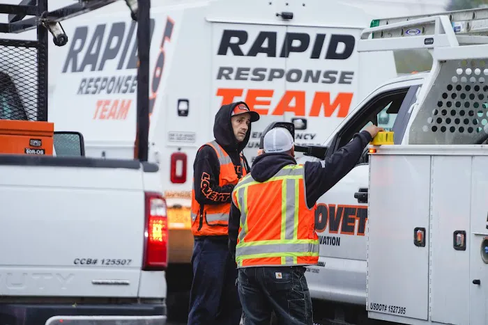 LOVETT Restoration Picture 3