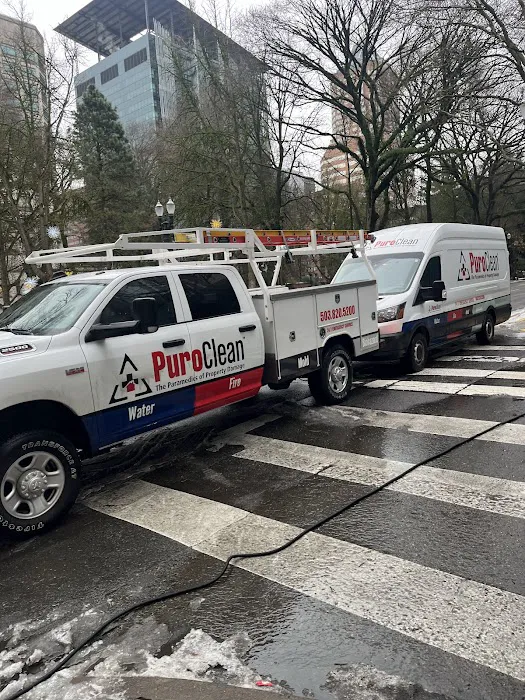 PuroClean of Happy Valley Picture 7