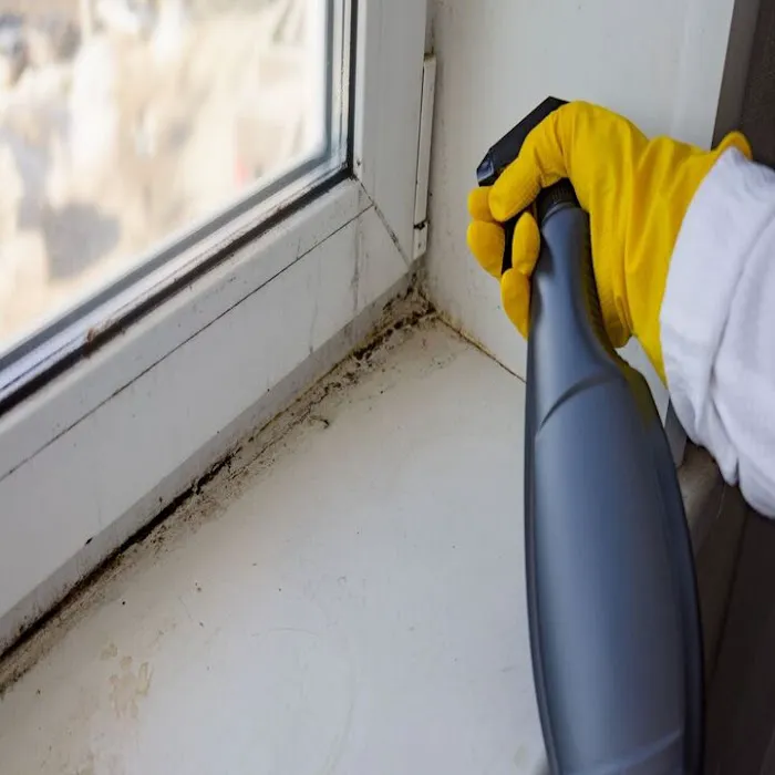 The Beaver State Mold Picture 2