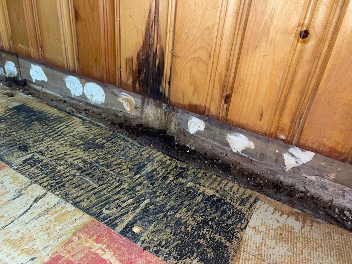 Rainbow Restoration of Happy Valley Picture 10