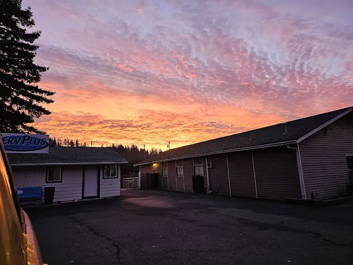 ServPlus Water Damage Restoration Picture 5