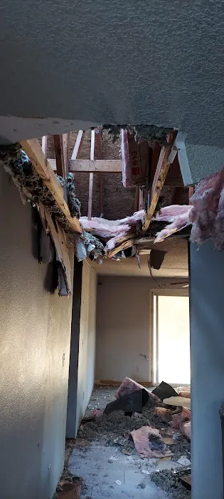 SUREBUILD Restoration Picture 6