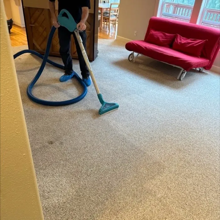 ServiceMaster Fire & Water Recovery By QRT Quality Restore Team LLC Picture 4