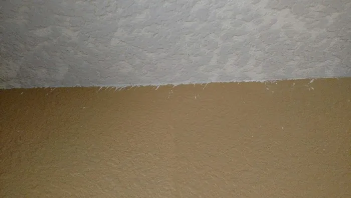 BELFOR Property Restoration (Portland) Picture 1