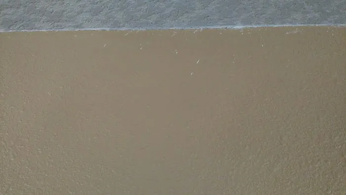 BELFOR Property Restoration (Portland) Picture 2