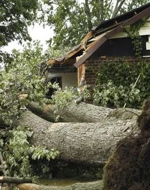 BELFOR Property Restoration (Portland) Picture 8