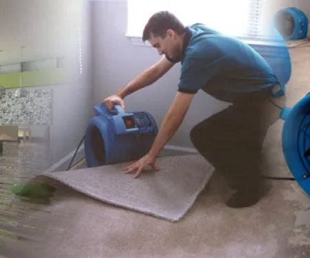 Vancouver Water Restoration