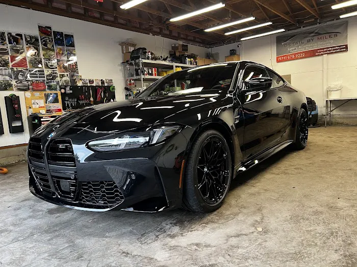 Detail by Miles Picture 1