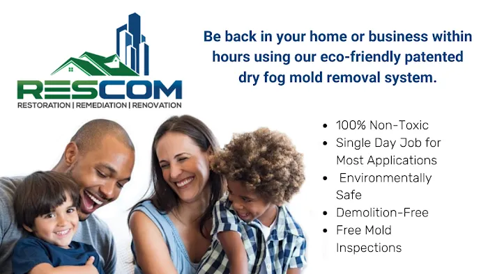 Rescom Restoration Picture 1