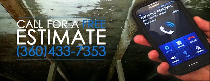 NW Mold Removal Picture 1