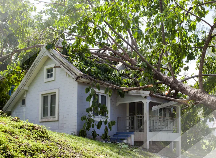 Verg Restoration Picture 3