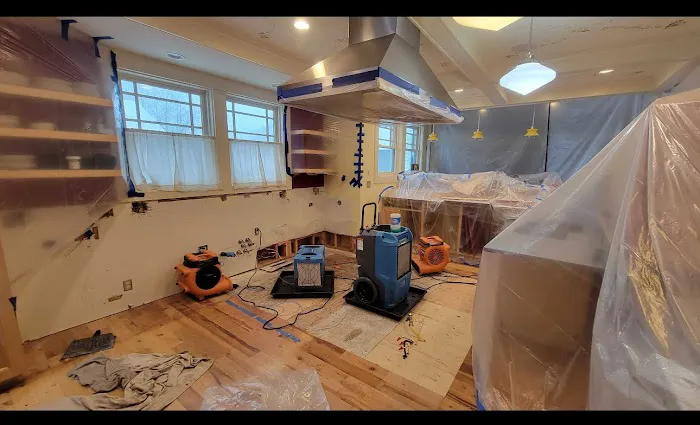 Verg Restoration Picture 2