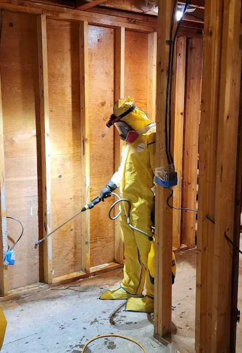 Verg Restoration Picture 7