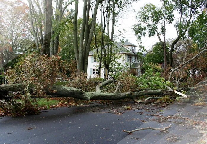 Verg Restoration Picture 10