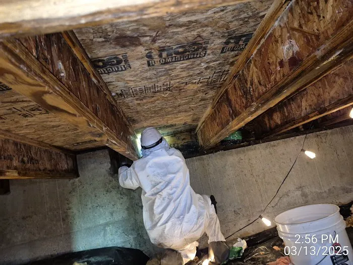 Dryworx Water Damage Restoration Picture 1