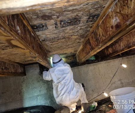 Dryworx Water Damage Restoration