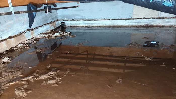 Restoration Techs Picture 6