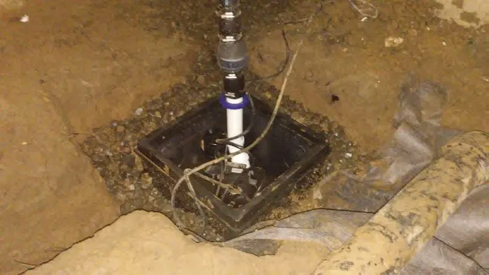 Dr. Crawlspace Picture 2