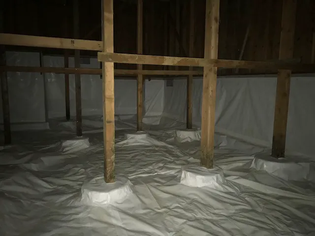 Dr. Crawlspace Picture 9