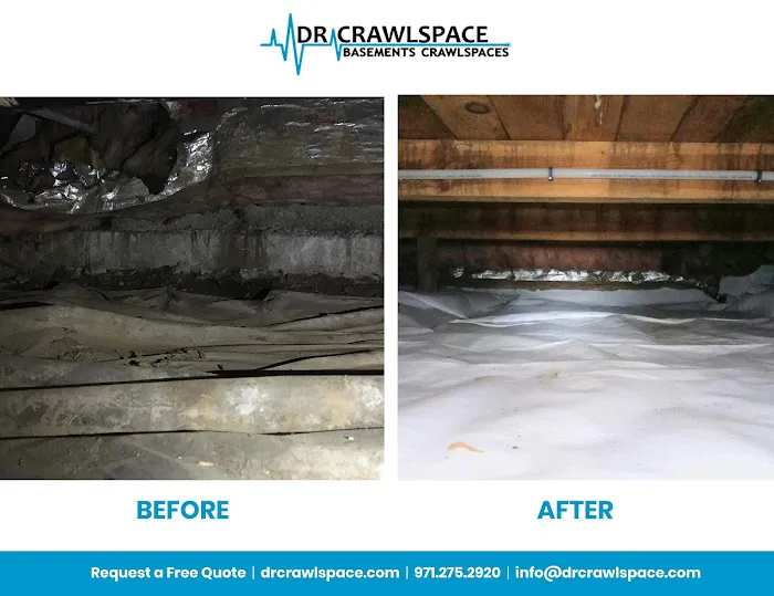 Dr. Crawlspace Picture 5