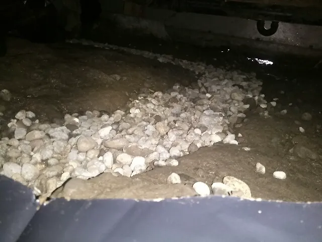 Dr. Crawlspace Picture 1