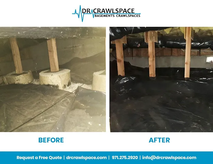 Dr. Crawlspace Picture 8