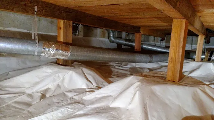 Dr. Crawlspace Picture 3