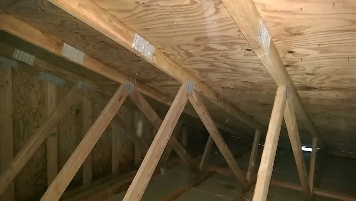 Pure Environmental Picture 3