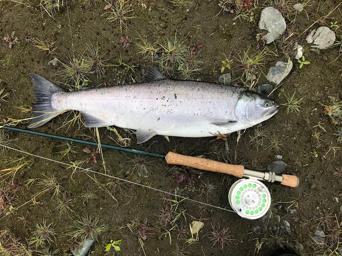 Pure Environmental Picture 9