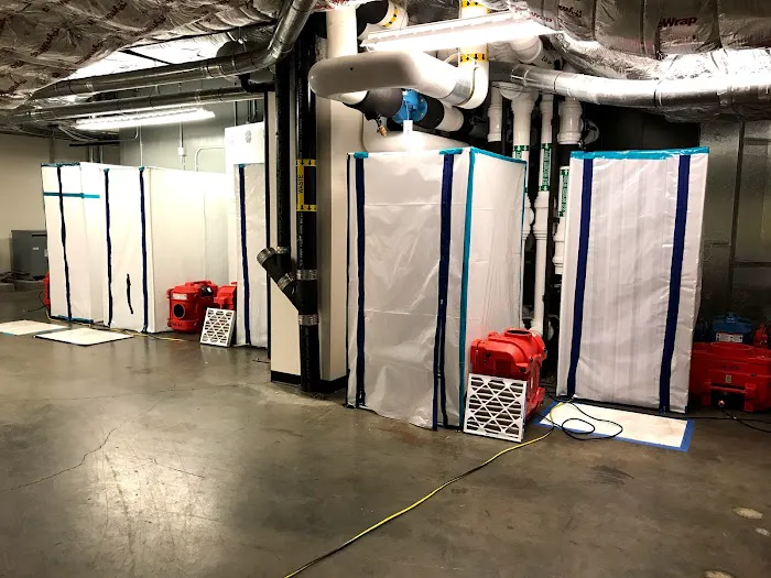 Pure Environmental Picture 10