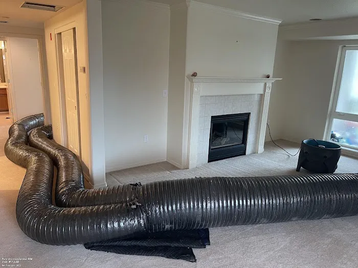 Pure Environmental Picture 5