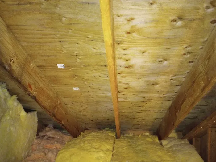 AXION Restoration Picture 1