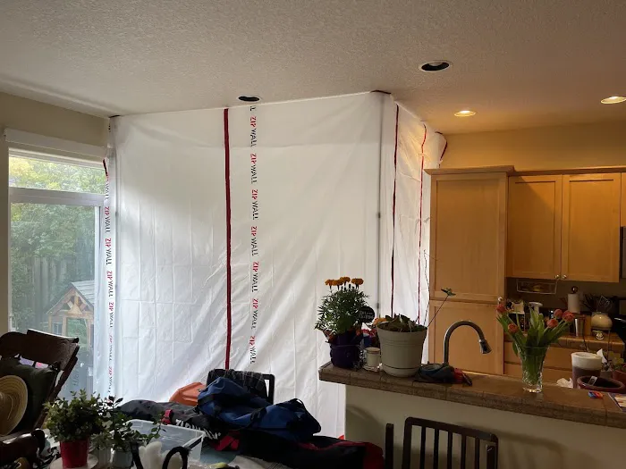 AXION Restoration Picture 5