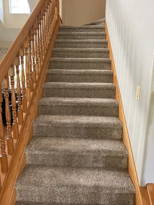 Stanley Steemer Picture 6