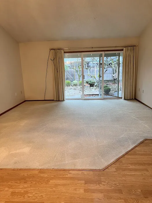 Stanley Steemer Picture 1