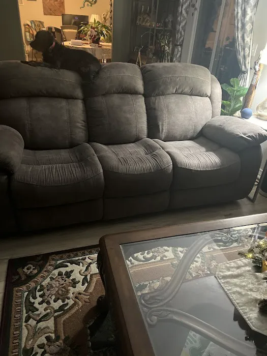 Stanley Steemer Picture 9