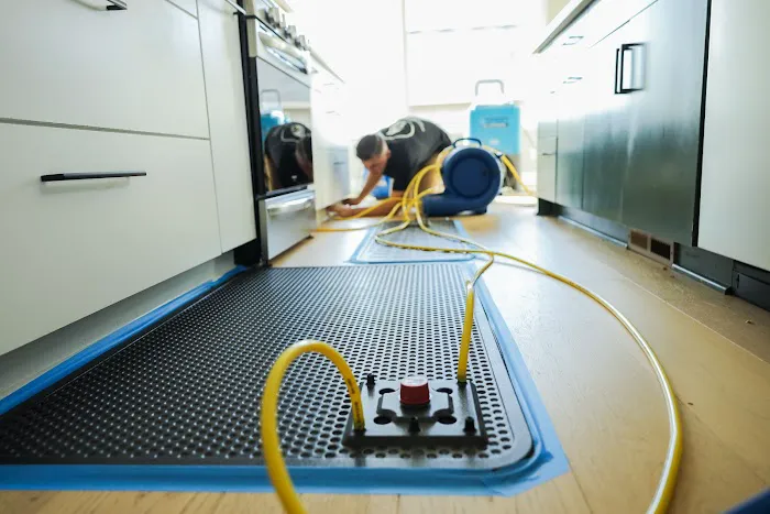 Rapid Restoration & Remodel of Portland Picture 5