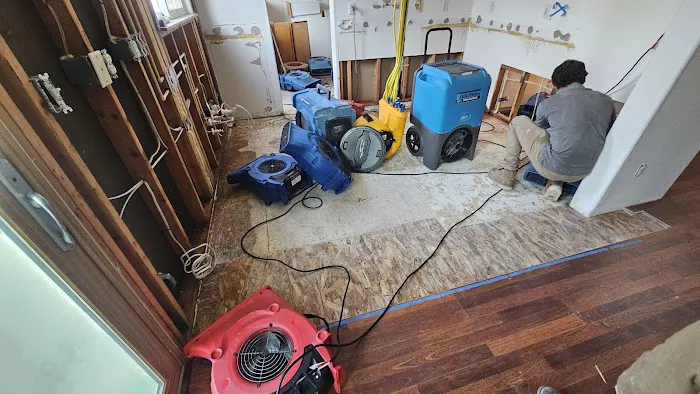 USA Restoration - Vancouver & Portland Picture 3