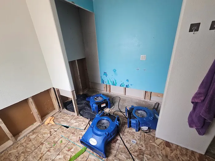 USA Restoration - Vancouver & Portland Picture 10