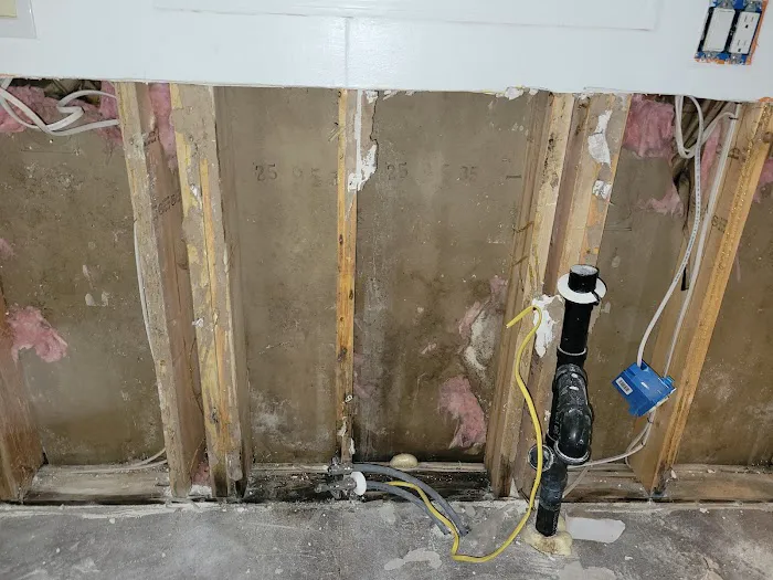 Restoration 1 of Vancouver Picture 9