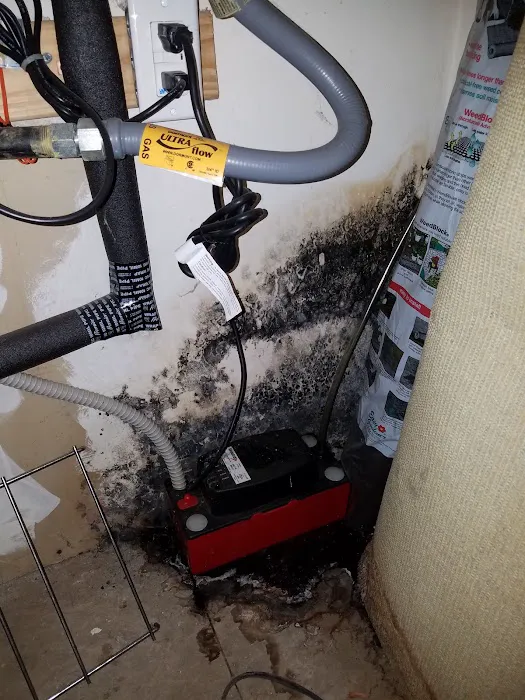 AdvantaClean of Southwest Washington Picture 2