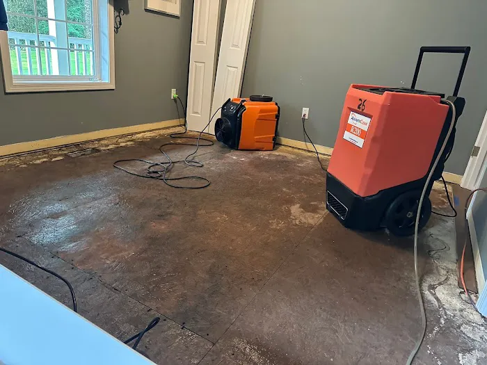 AdvantaClean of Southwest Washington Picture 4