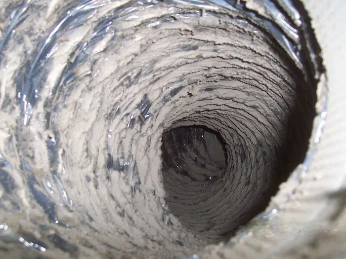 AdvantaClean of Southwest Washington Picture 9