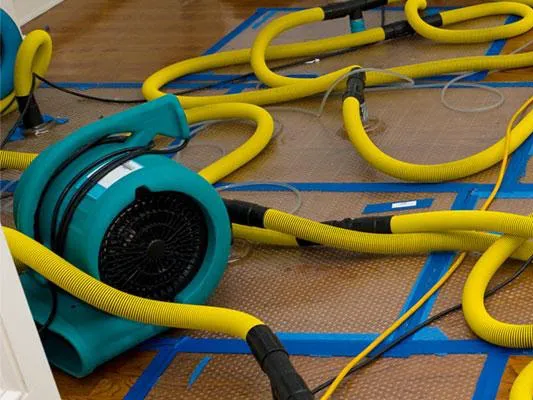 AdvantaClean of Southwest Washington Picture 5