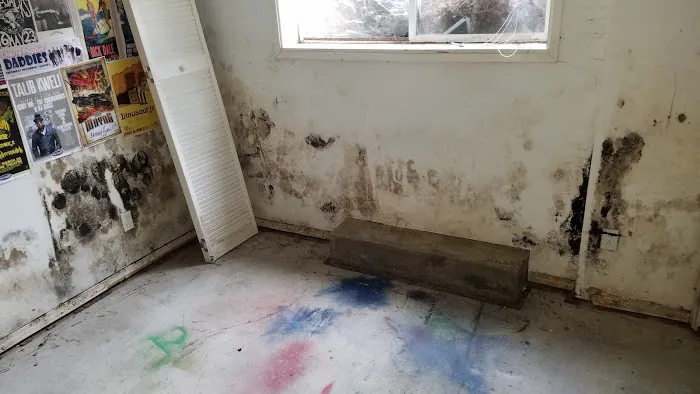 AdvantaClean of Southwest Washington Picture 3