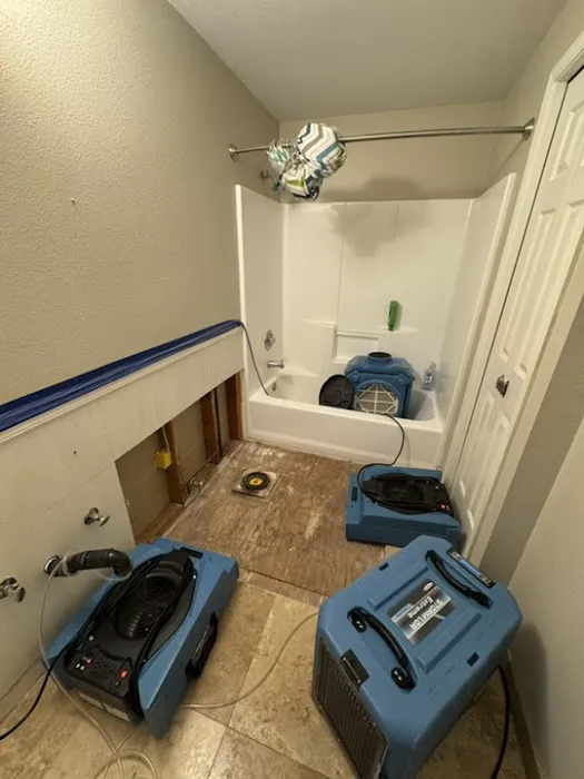 Octopus Restoration and Remodel of Portland Picture 3