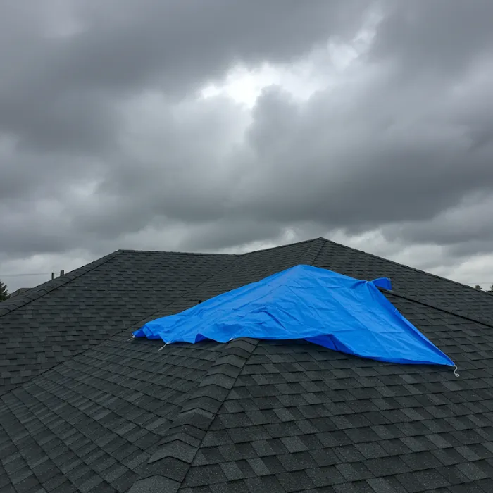 Droplet Restoration Picture 3