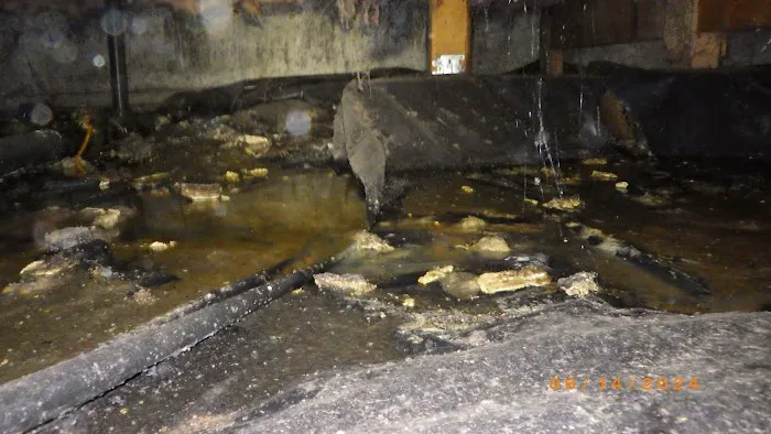 ARS Restoration Services Picture 3