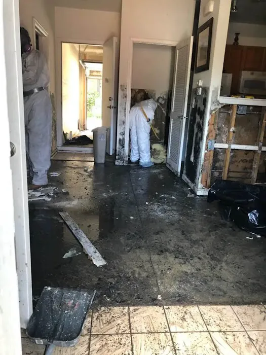 Vancouver Water Damage Restoration Picture 5